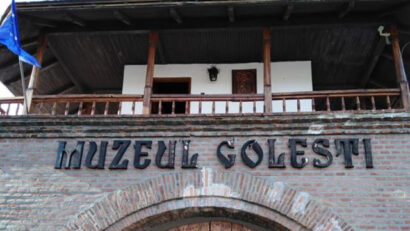 Muzeul viticulturii şi pomiculturii Goleşti