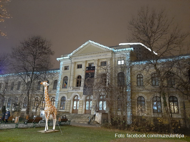 Museo de Historia Natural