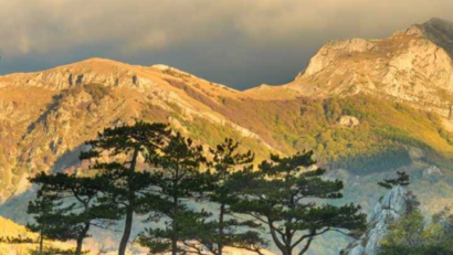 Le Parc national Domogled – Vallée de la Cerna