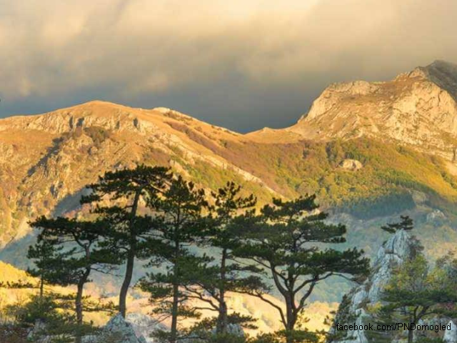 Le Parc national Domogled – Vallée de la Cerna
