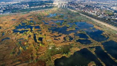 Le parc naturel de Vacaresti