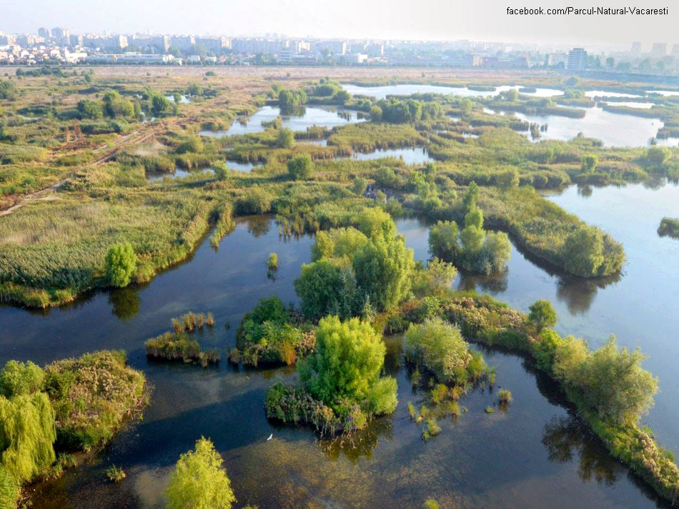 The Vacaresti Nature Park