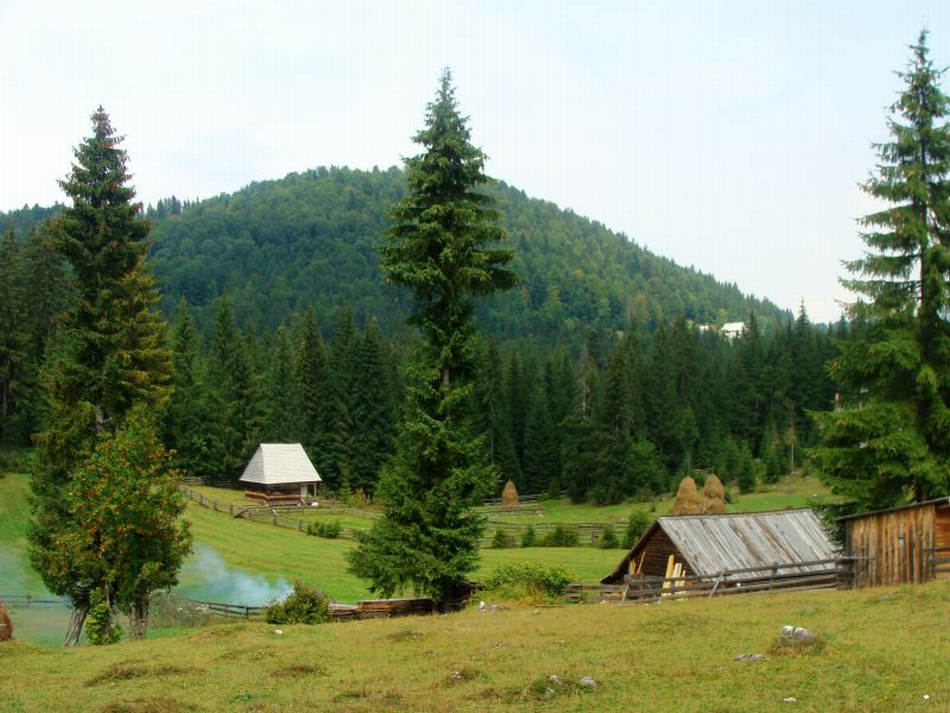 Der Naturpark Apuseni (Westgebirge)