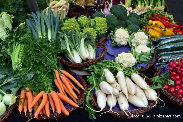 The vegetable garden