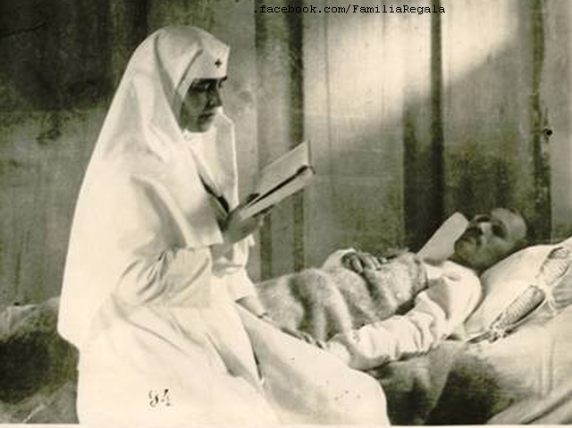 Epidemien: Flecktyphus in Rumänien während des Ersten Weltkriegs