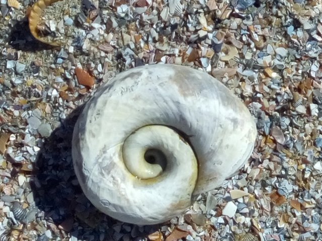Les plages roumaines de la Mer Noire