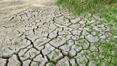 Fighting drought, an emergency