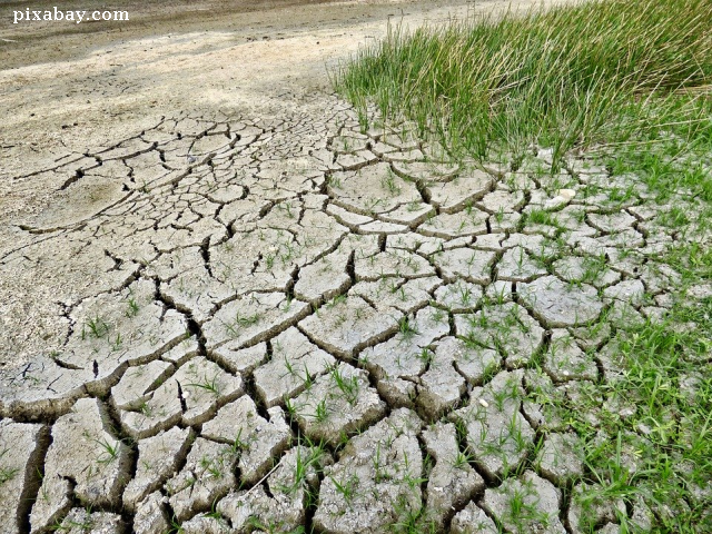 Засуха в Европе. Что дальше?