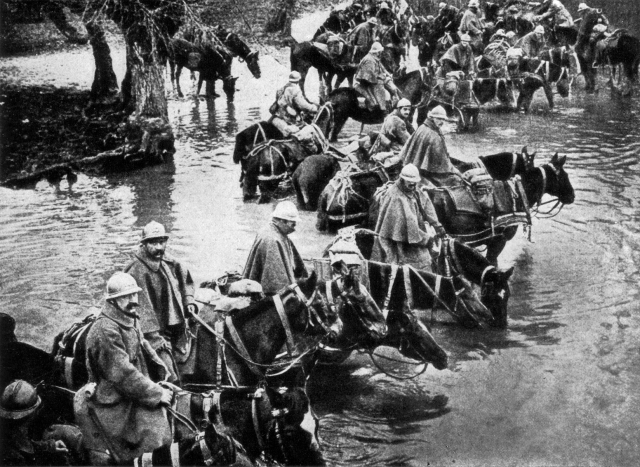 Erster Weltkrieg: Die Schlacht um Verdun und der Kriegseintritt Rumäniens