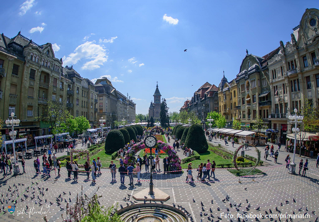 Timișoara et ses environs