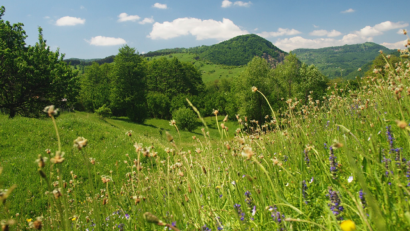 ‘Ținutul Buzăului – The Buzău Land’ – validated as a UNESCO Global Geopark