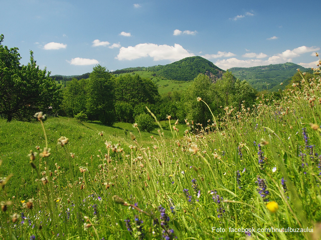 ‘Ținutul Buzăului – The Buzău Land’ – validated as a UNESCO Global Geopark