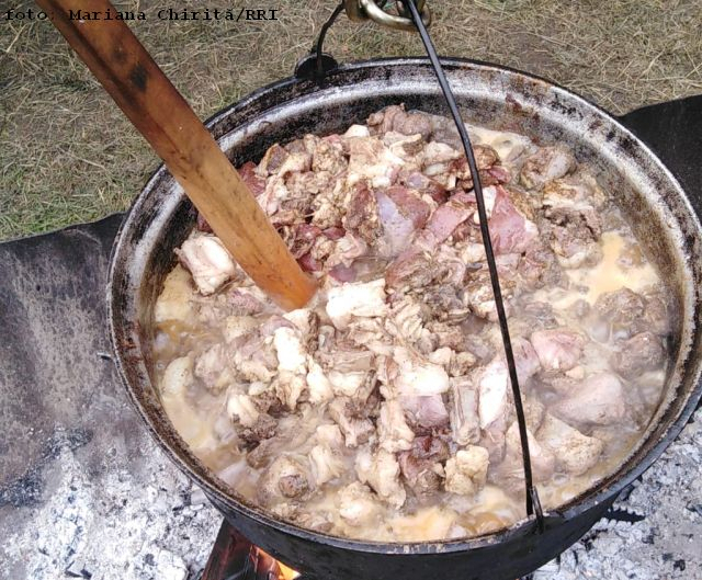 Tocan gorjenesc Tocan gorjenesc