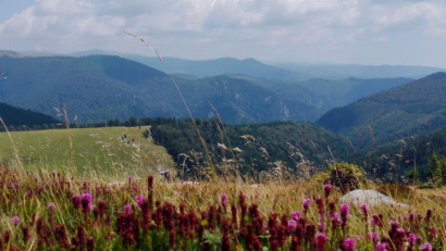 Şosele montane din România