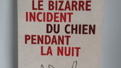 Le bizzare incident du chien pendant la nuit