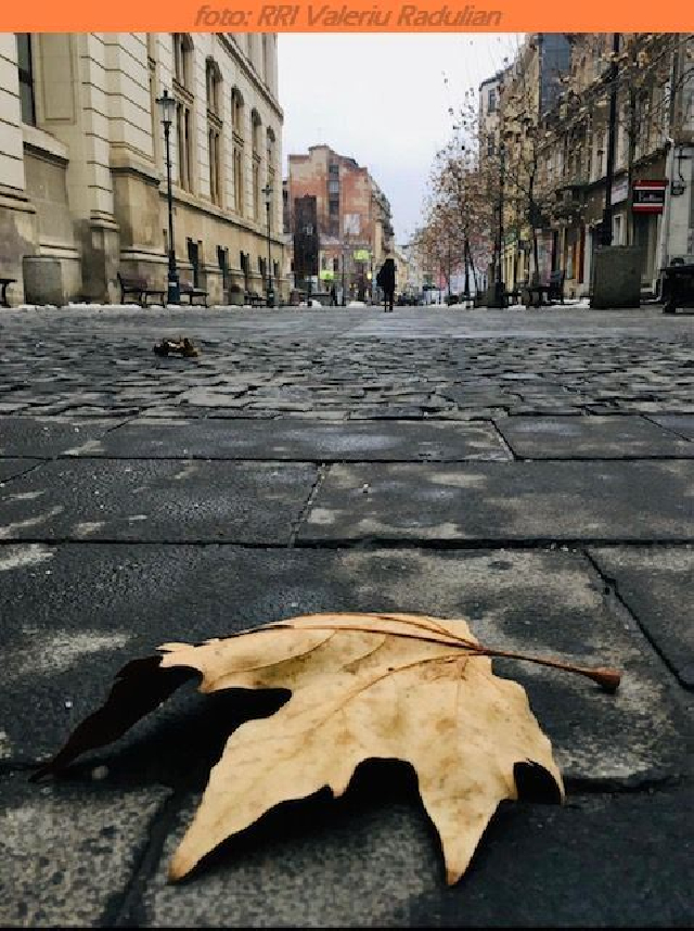 Barrios de Bucarest y el origen de sus nombres