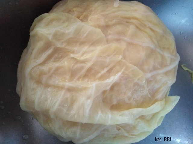 Sauerkraut