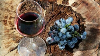 Michel Minouflet (France) – quels atouts et production de vin roumain ?