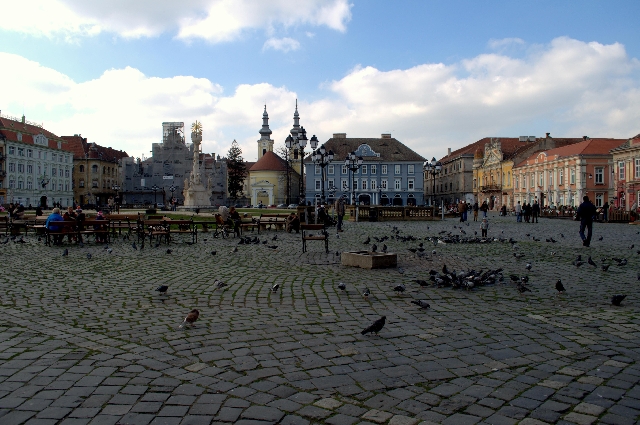 Timişoara, la cité polyglotte