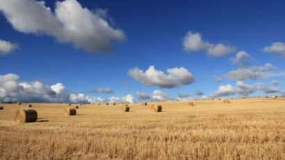 Prețul terenurilor agricole în statele UE