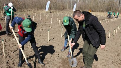 Bewaldungskampagne 2020: 50 Mio. Stecklinge sollen gepflanzt werden