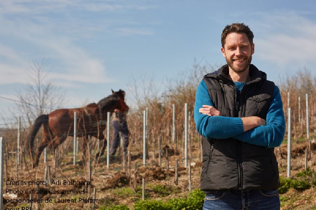 Des vins franco-roumains qui font rêver (I)