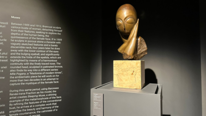 Выставка, посвящённая великому скульптору Константину Брынкушь, в Тимишоаре подошла к концу