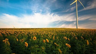 Guy Le Louët (France) – Y a-t-il pénurie d’huile de tournesol en Roumanie ?