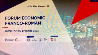 Travaux du Forum économique franco-roumain