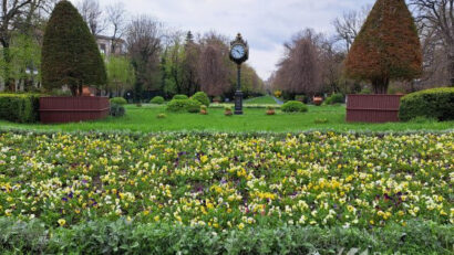 Green Spaces in Bucharest