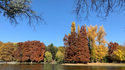 Les espaces verts de Bucarest