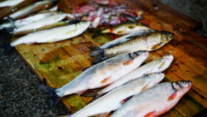 Rezept aus der rumänischen Küche: Fisch-Plachia