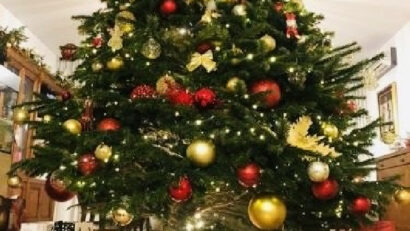 La miscelánea: ¿Cómo empezó la tradición del árbol de Navidad?