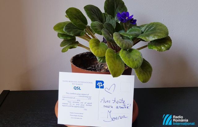 Le Courrier des auditeurs du 21 avril 2023