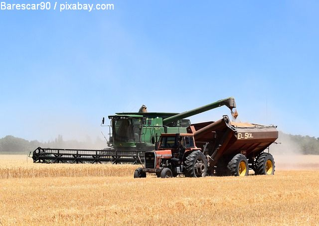 La Romania e il transito dei cereali ucraini