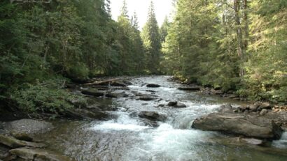 Bergflüsse können umweltgerecht Strom liefern