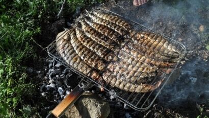 Les charbons ardents des barbecues
