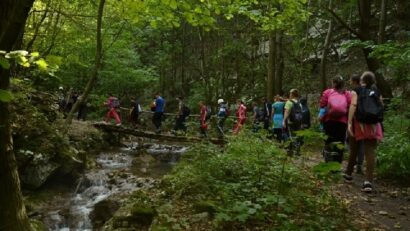 Schüler schützen die Natur