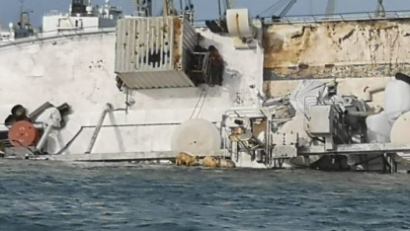 إجراءات تبني 180 رأس غنم تم إنقاذها بعد الحادث الذي وقع في ميناء ميديا