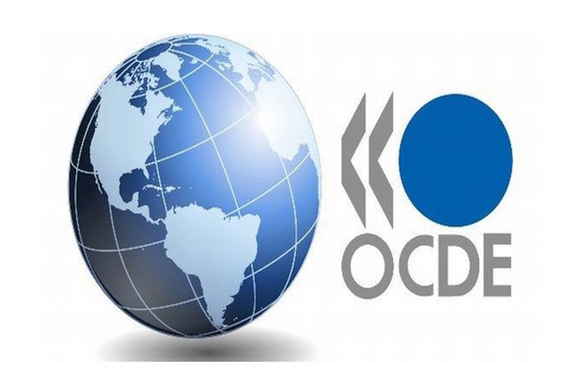 Logo OCDE