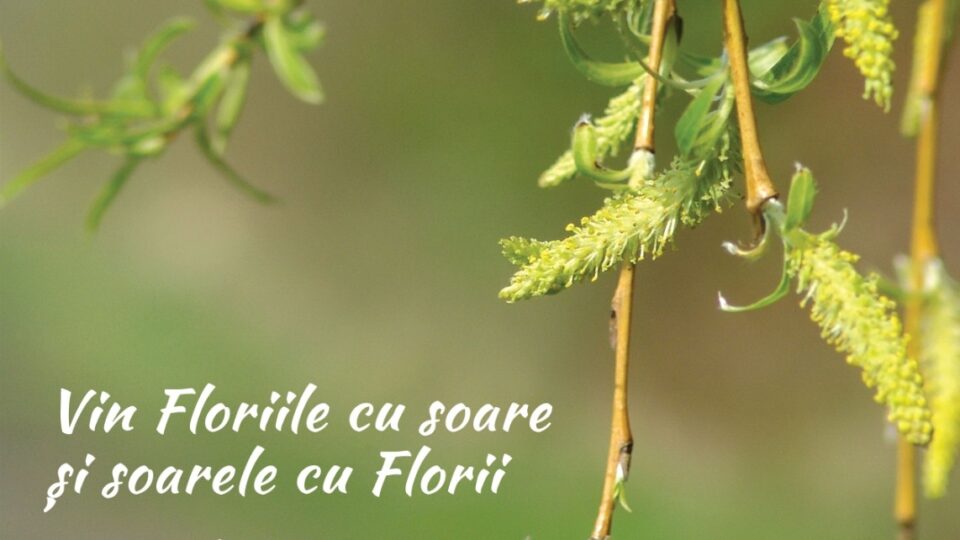 Vin Floriile cu soare si soarele cu Florii