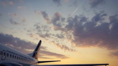 How can TAROM be saved?