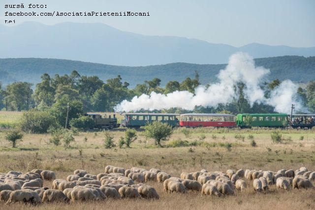 בסיביו (Sibiu), עם המוקניצה (Mocănița)