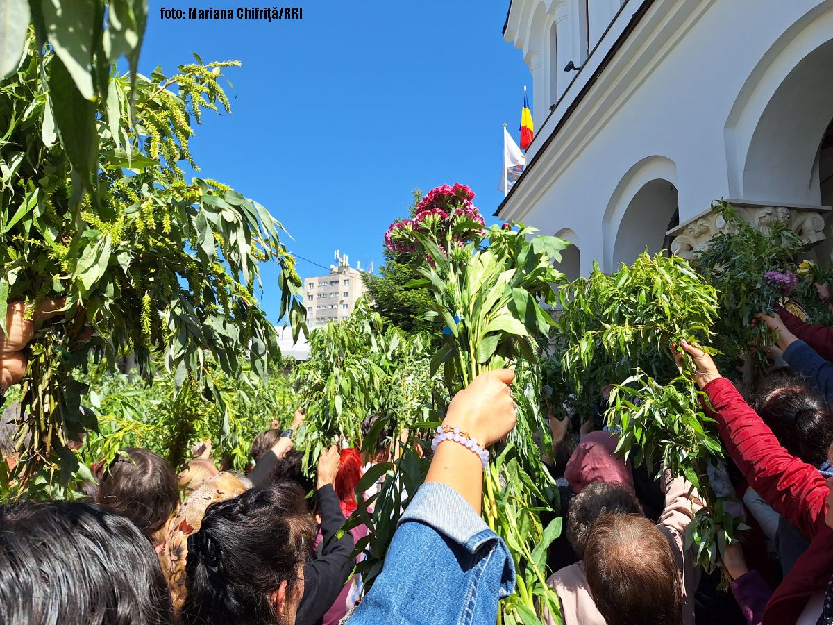 salcie biserica Florii (foto M. Chiriţă/RRI)