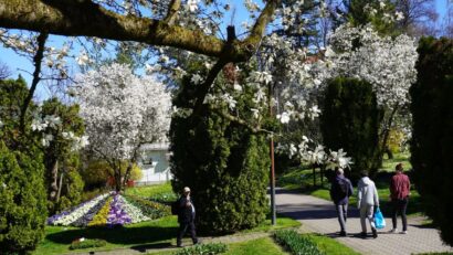 Le jardin Botanique « A. Borza” de Cluj-Napoca