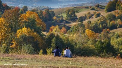 Pădurea Craiului (sursa foto: padureacraiului.ro)