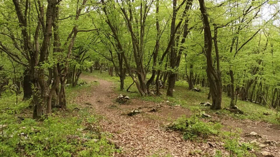 Traseu Ciucaru Mare (Foto: Ștefan Baciu/RRI)