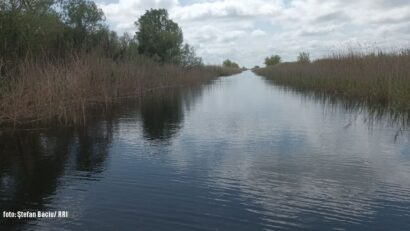 Turism ecologic în Delta Dunării