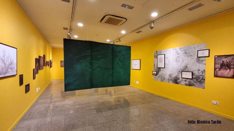El Instituto Cervantes de Bucarest acoge la muestra «Las Baladas del Coral»
