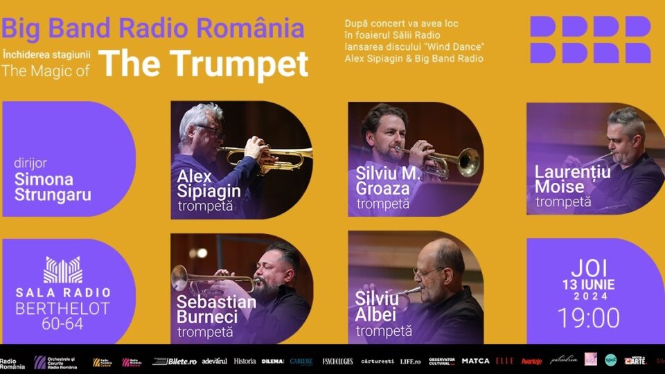 Afiș concert